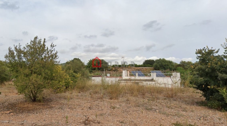 Castellon - Castelló de la Plana - 831m2