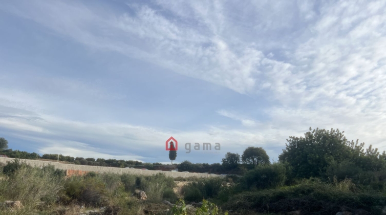 Castellon - Castelló de la Plana - 831m2