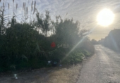 Detached villa with land for sale in Castelló de la Plana ref: TR187691 photo