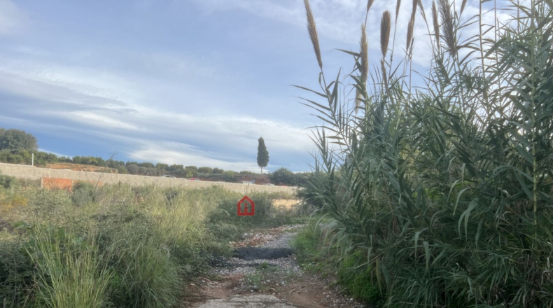 Castellon - Castelló de la Plana - 831m2