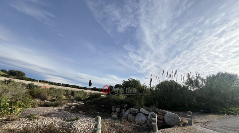 Castellon - Castelló de la Plana - 831m2