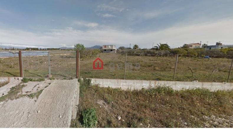 Castellón - Vinaroz - 7404m2