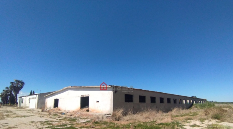 Castellón - Vinaroz - 7404m2