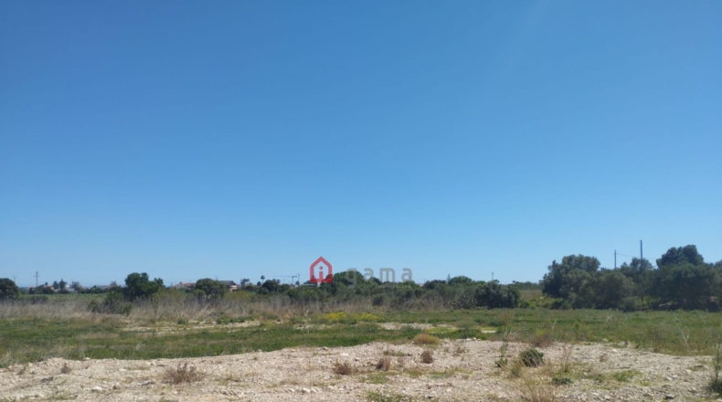 Castellón - Vinaroz - 7404m2