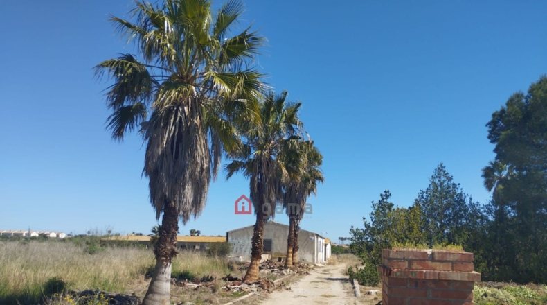 Castellón - Vinaroz - 7404m2