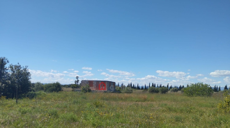 Castellón - Vinaroz - 7404m2