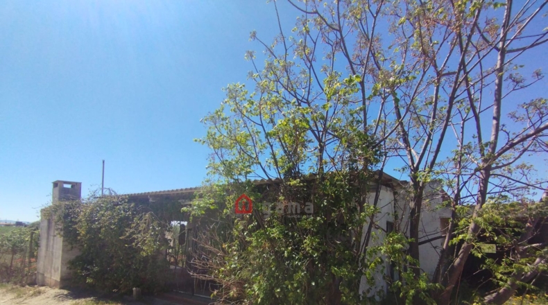 Castellón - Vinaroz - 7404m2