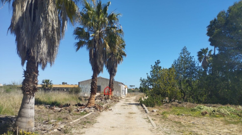 Castellón - Vinaroz - 7404m2