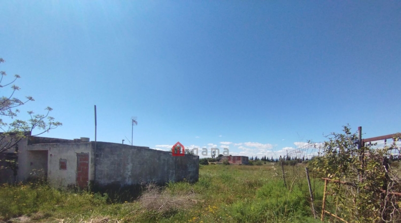 Castellón - Vinaroz - 7404m2
