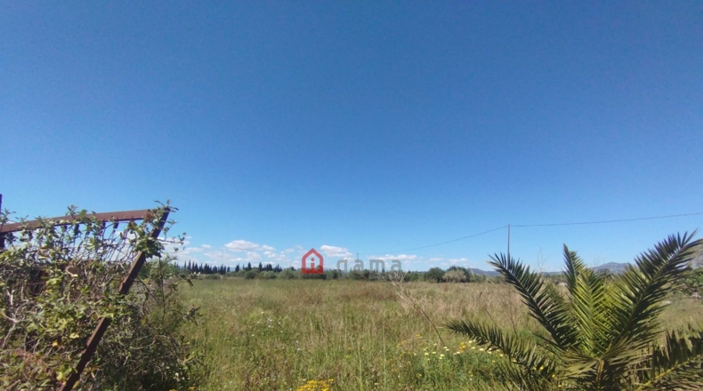 Castellón - Vinaroz - 7404m2