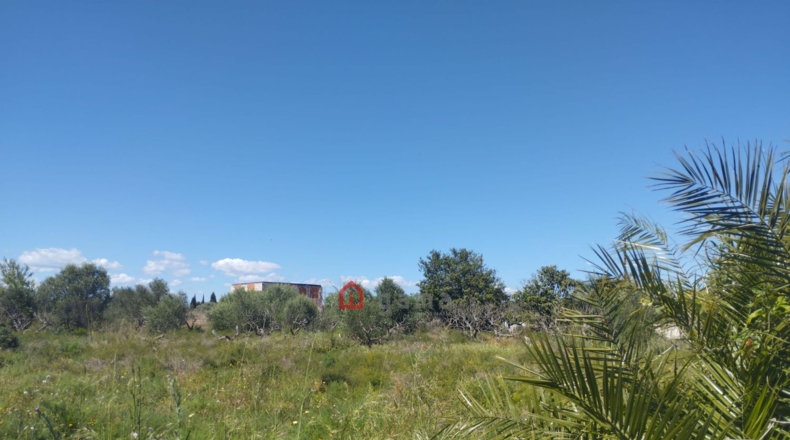 Castellón - Vinaroz - 7404m2