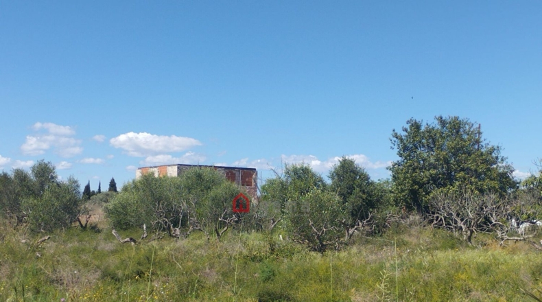 Castellón - Vinaroz - 7404m2