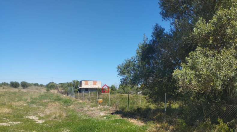 Castellón - Vinaroz - 7404m2