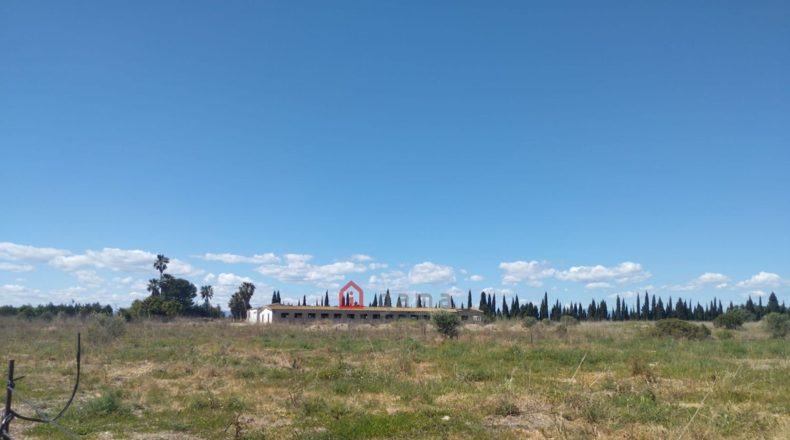 Castellón - Vinaroz - 7404m2