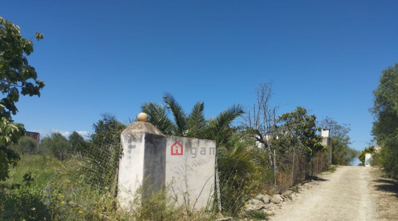 Castellón - Vinaroz - 7404m2