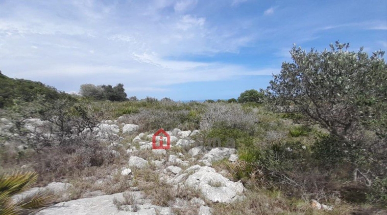 Castellón - Peníscola - 13186m2