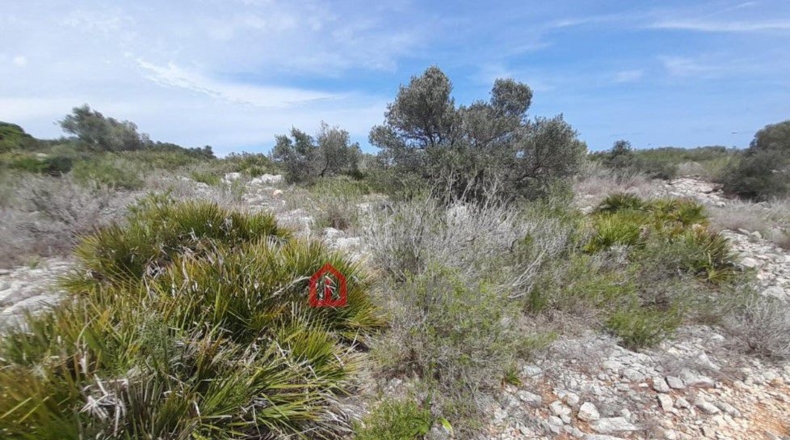 Castellón - Peníscola - 13186m2