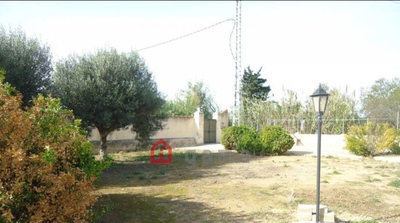 Castellón - Burriana - 1390m2