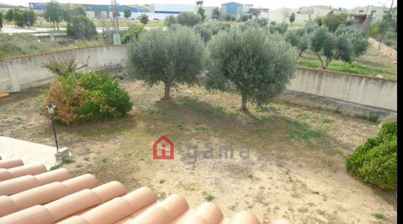 Castellón - Burriana - 1390m2