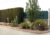 Xalet independent amb terreny en venda a Vila-real ref.: TR199350 foto
