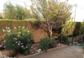Xalet independent amb terreny en venda a Vila-real ref.: TR199350 foto