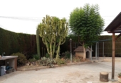 Xalet independent amb terreny en venda a Vila-real ref.: TR199350 foto