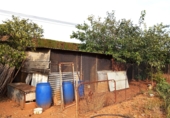Xalet independent amb terreny en venda a Vila-real ref.: TR199350 foto