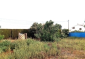 Xalet independent amb terreny en venda a Vila-real ref.: TR199350 foto