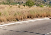 Terreno no urbanizable en venta en la España, Castellón de la Plana, ref: TR182255 foto