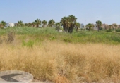 Terreno no urbanizable en venta en Moncofa ref: TR182250 foto