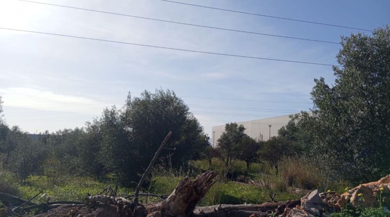Castellón - Villarreal - 1700m2