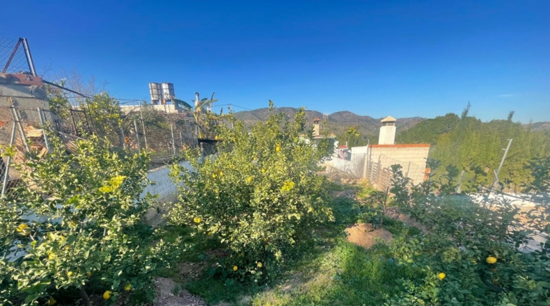 Castellón - la Vall d'Uixó - 1260m2