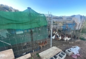 Отдельно стоящий дом с участком на продажу в городе La Vall d'Uixó. Фото