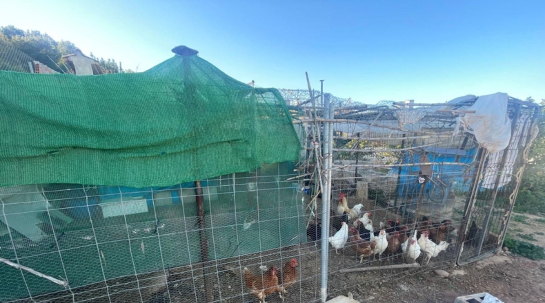 Castellón - la Vall d'Uixó - 1260m2