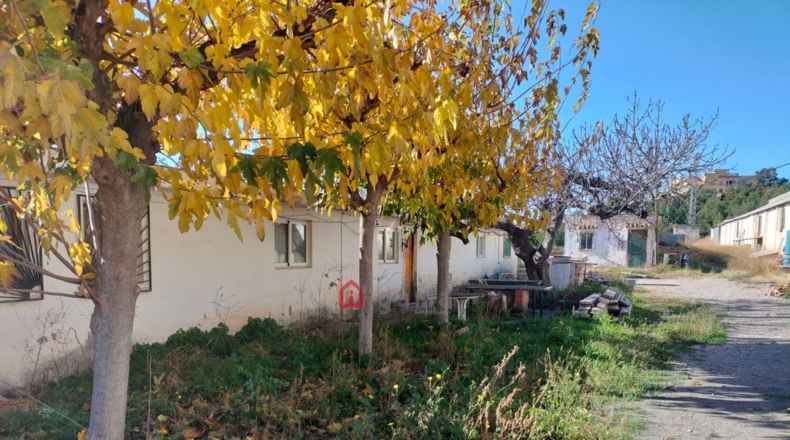Castellón - Castelló de la Plana - 4600m2