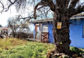 Xalet independent amb terreny en venda a la España, Vilafamés, ref.: TR251996 foto
