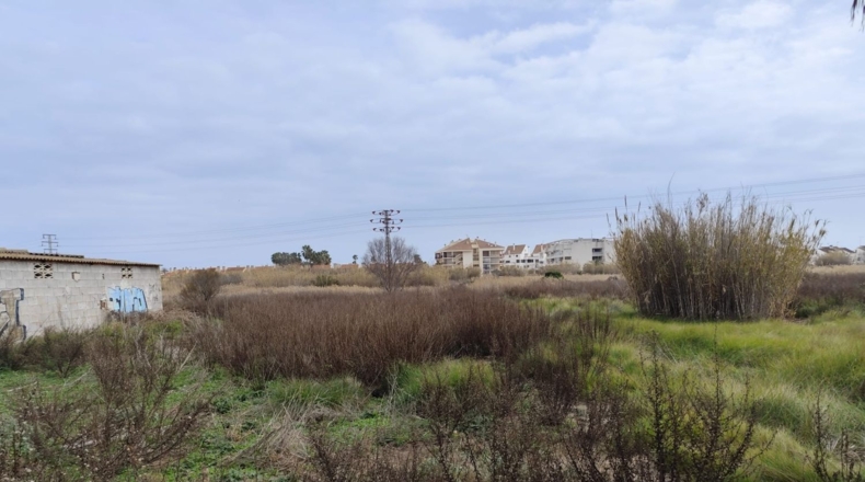 Valencia - Sagunt - 1206m2