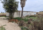 Parcela urbanizable en venta en la España, Sagunto, ref: TR252000 foto