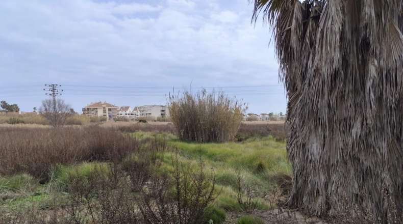 Valencia - Sagunt - 1206m2