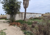 Parcela urbanizable en venta en la España, Sagunto, ref: TR252000 foto