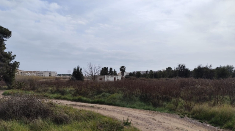 Valencia - Sagunt - 1206m2