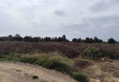Parcela urbanizable en venta en la España, Sagunto, ref: TR252000 foto