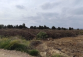 Parcela urbanizable en venta en la España, Sagunto, ref: TR252000 foto