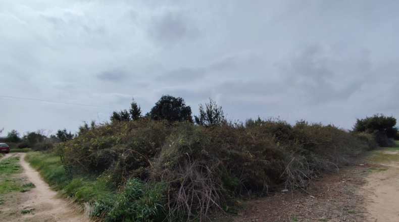 Valencia - Sagunt - 1206m2