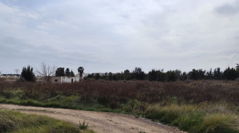 Valencia - Sagunt - 1206m2