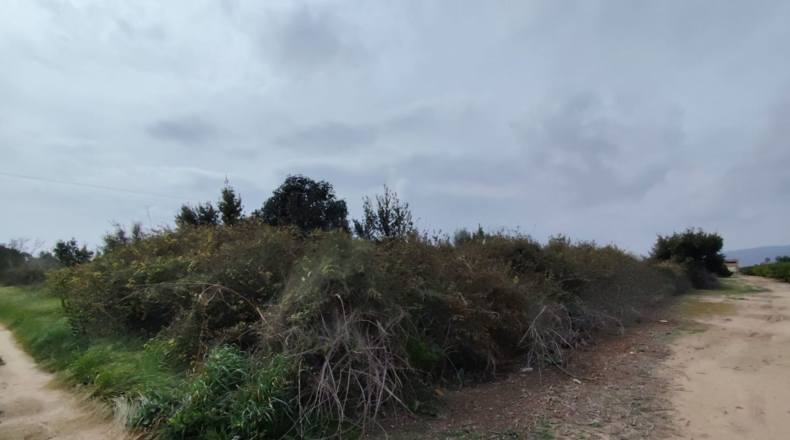 Valencia - Sagunt - 1206m2
