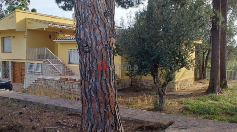 Castellón - Almazora - 3000m2