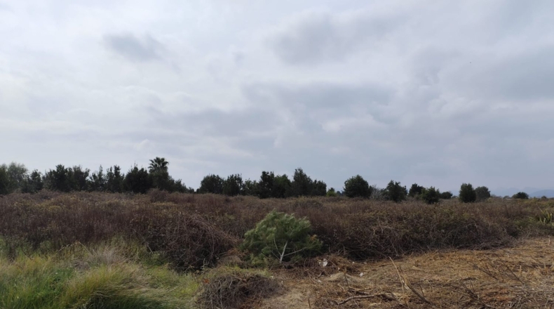 Valencia - Sagunt - 5479m2