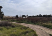 Parcela urbanizable en venta en la España, Sagunto, ref: TR252011 foto