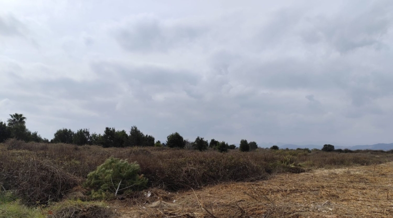 Valencia - Sagunt - 5479m2